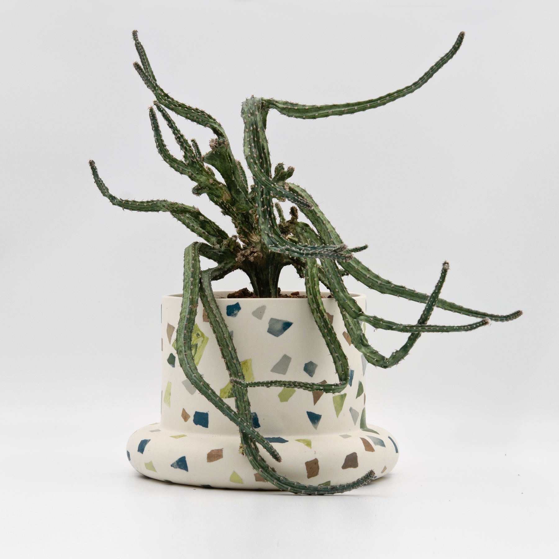 Bigfoot Archipelago planter