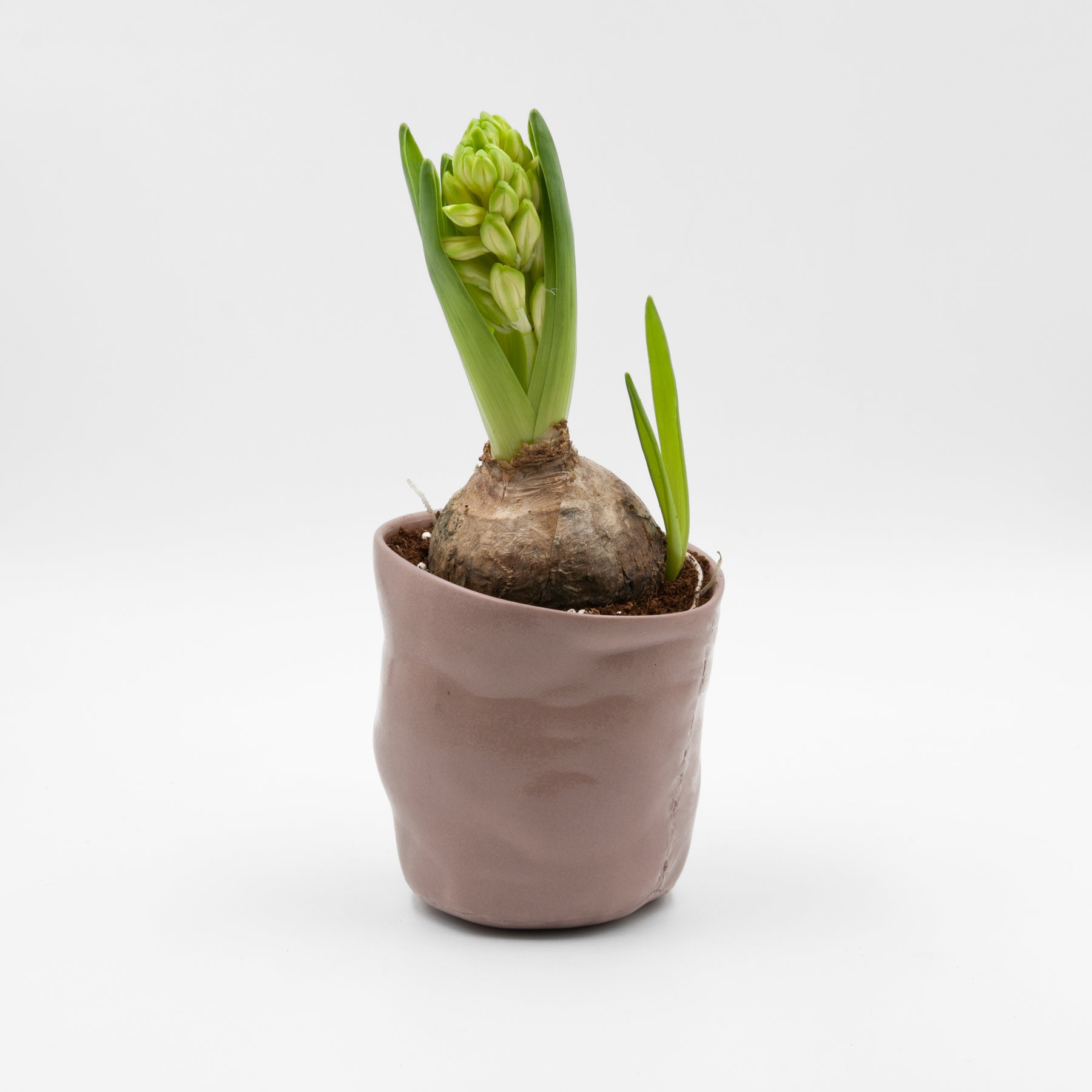 Baby Elephant planter, rosy brown