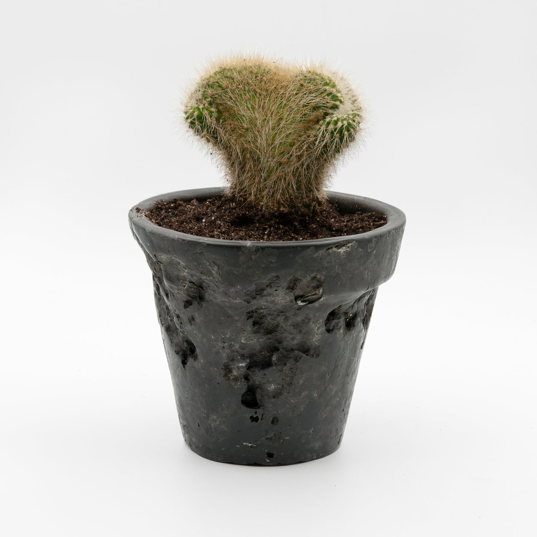 Scoria rim planter